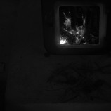 cabin #3 이미지